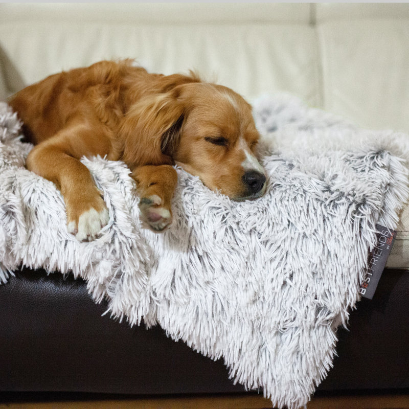 Fuzzy dog blanket best sale